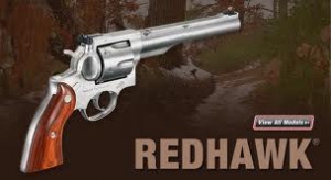 Ruger Redhawk Hunter